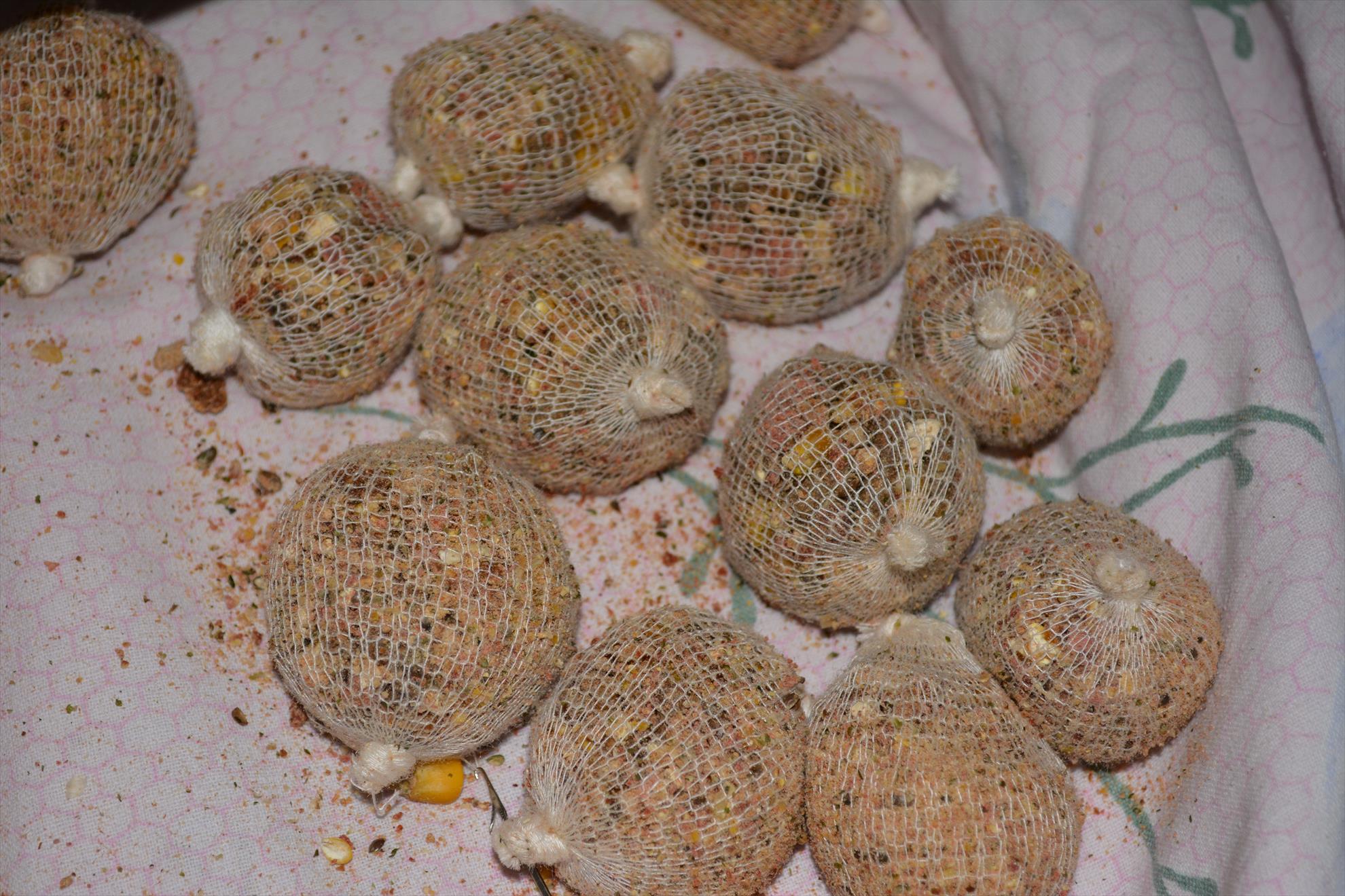 Pregatiri pentru concurs - dsc0058.JPG